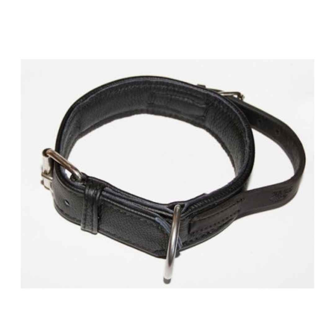 Julius K9 Leather Collar