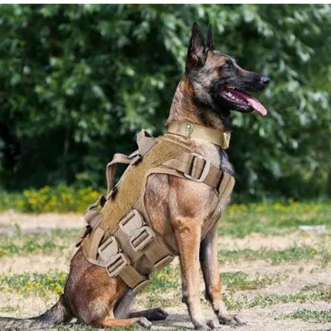 Alpha k9 dog harness