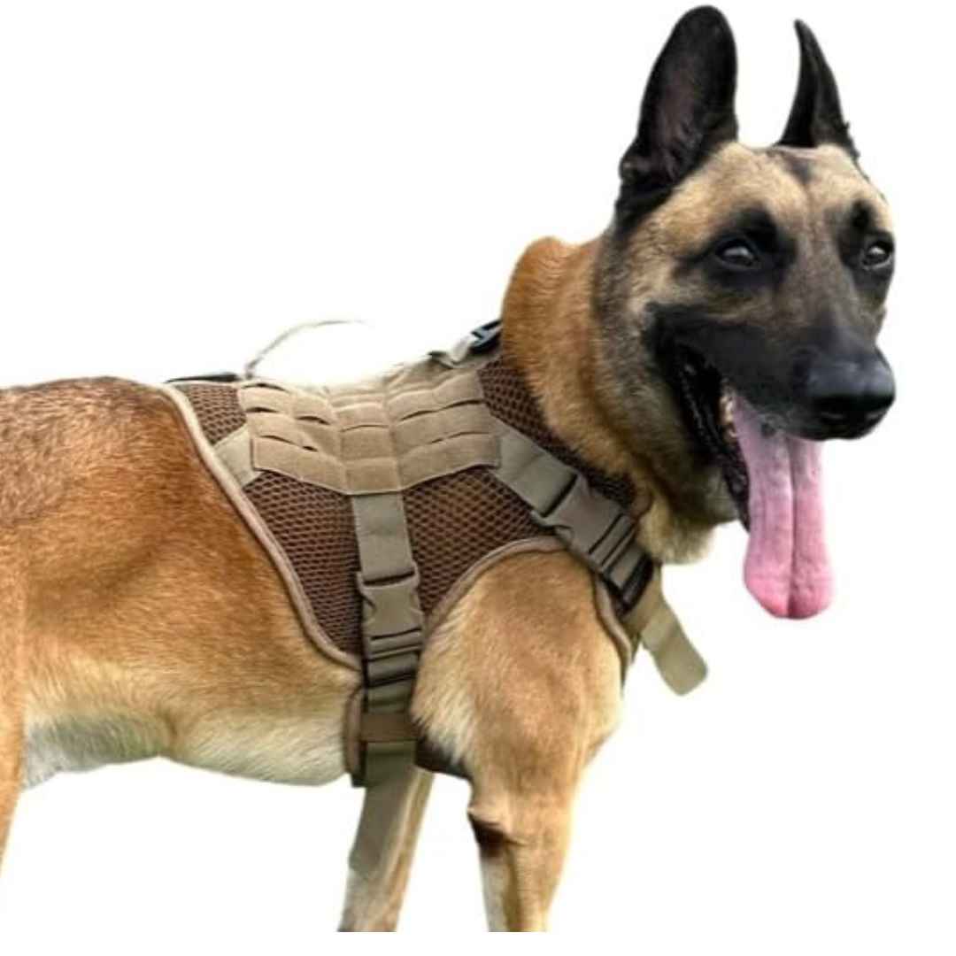 K9 dog harness