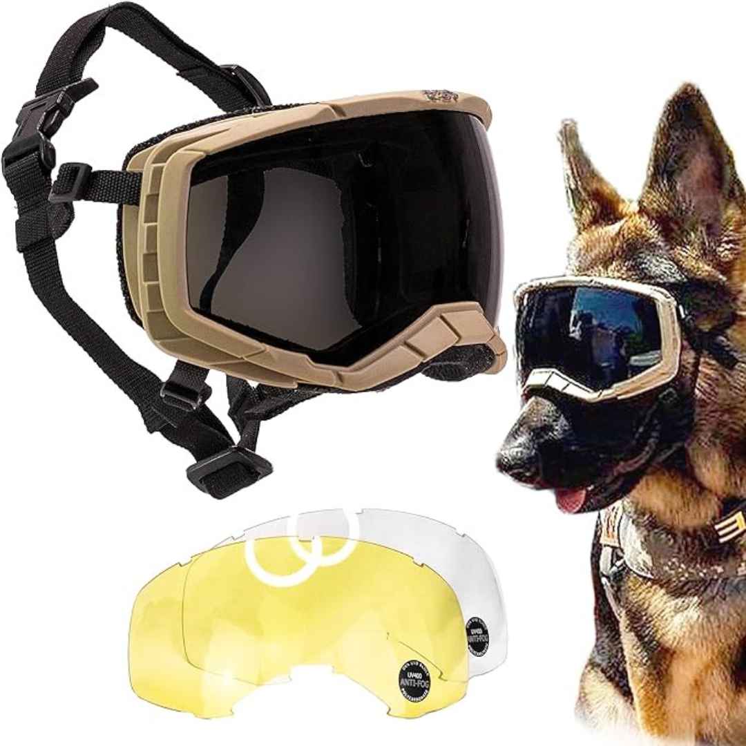 Tactical K9 goggles