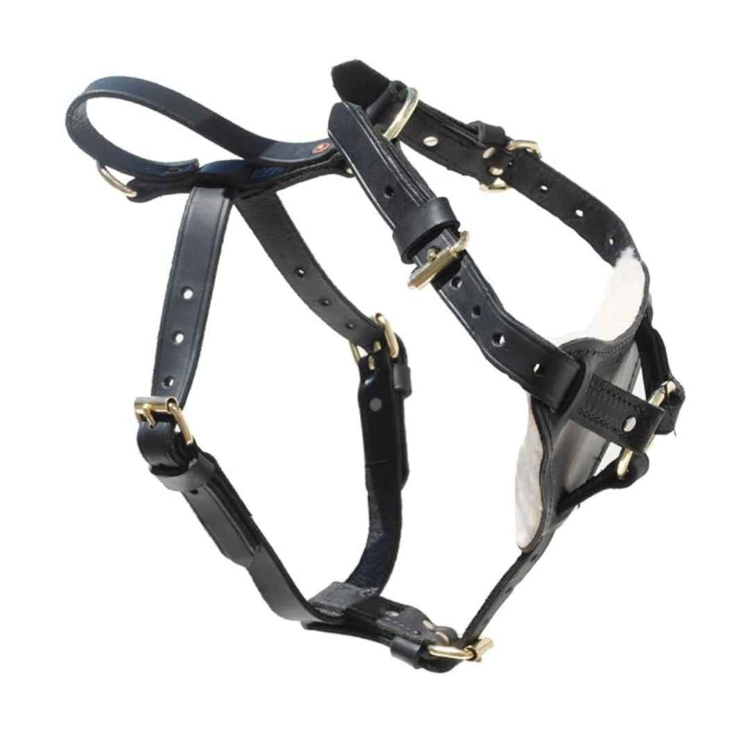 Leather dogs tracking harness