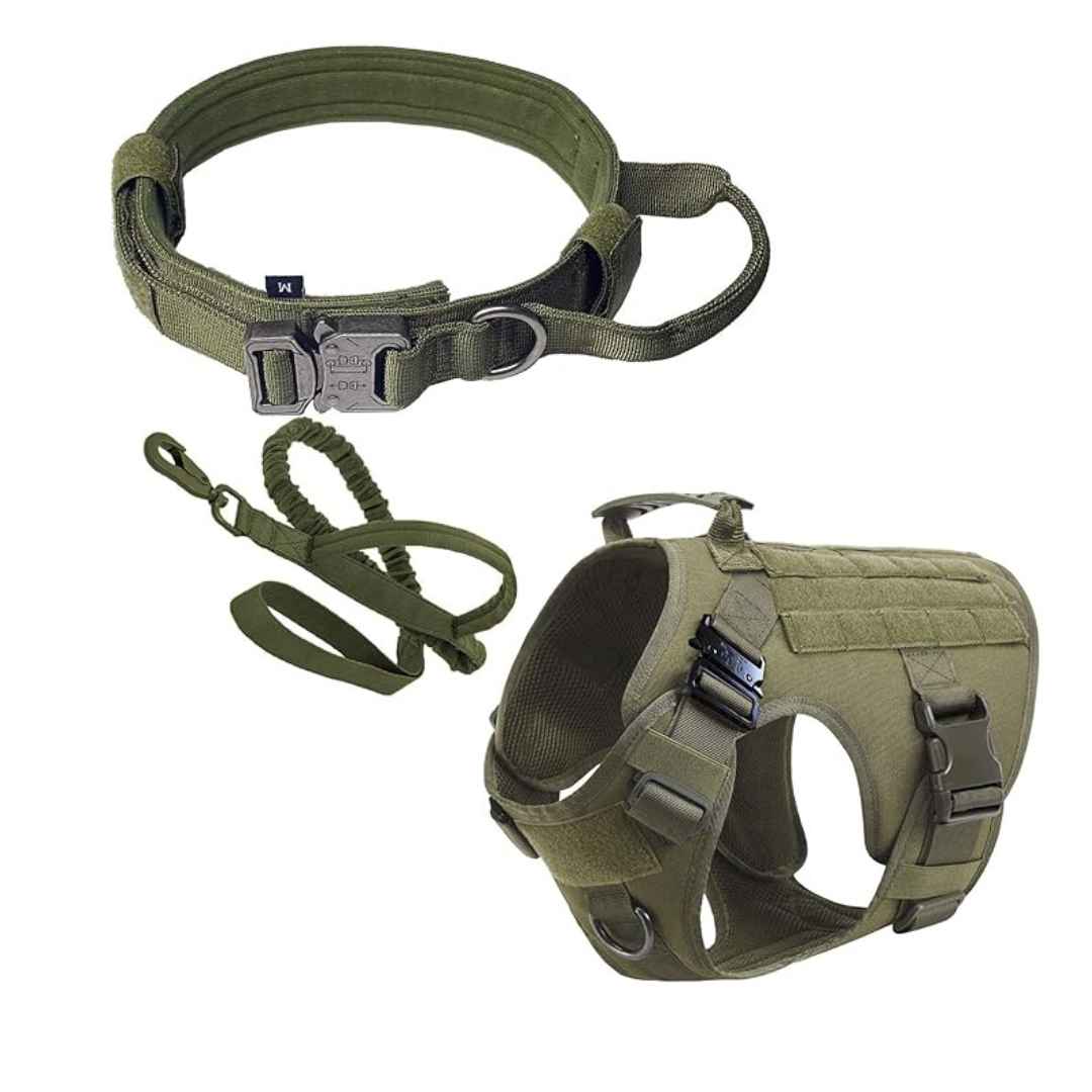 Dogs vest and collar